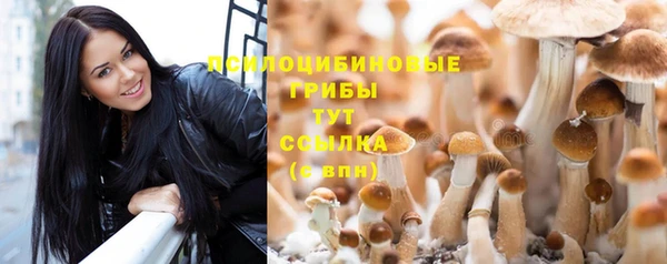 гашик Беломорск