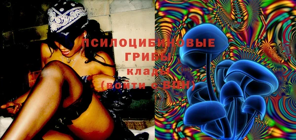 ГАЛЛЮЦИНОГЕННЫЕ ГРИБЫ Белоозёрский