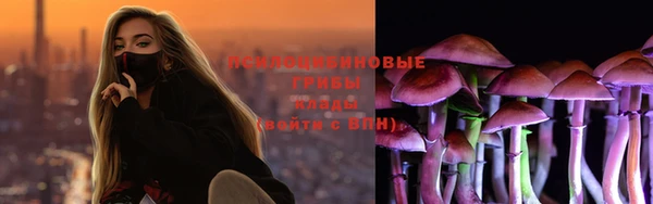 герыч Белокуриха