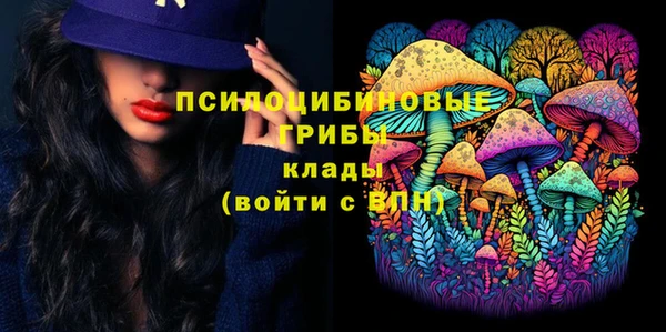 ГАЛЛЮЦИНОГЕННЫЕ ГРИБЫ Белоозёрский