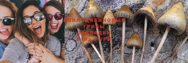 герыч Белокуриха