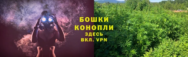 ГАЛЛЮЦИНОГЕННЫЕ ГРИБЫ Белоозёрский
