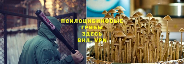 ГАЛЛЮЦИНОГЕННЫЕ ГРИБЫ Белоозёрский
