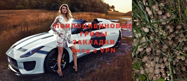 гашик Беломорск