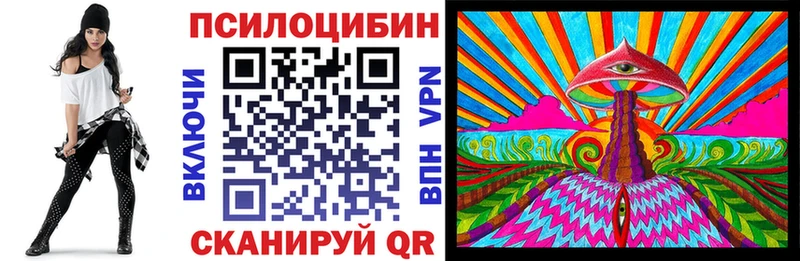 Купить  Осташков  Галлюциногенные грибы прущие грибы 